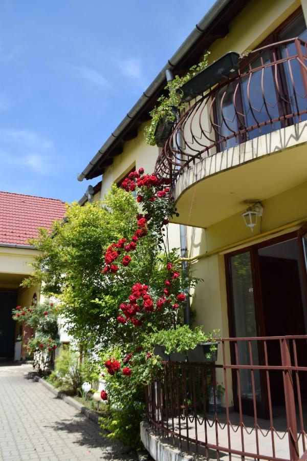 Pension Greenhouse Sibiu Exterior photo