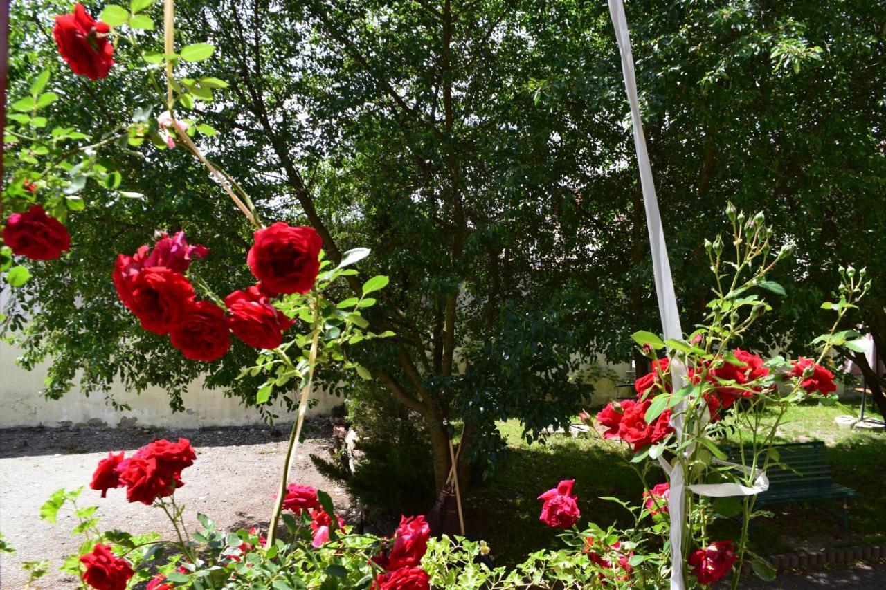 Pension Greenhouse Sibiu Exterior photo