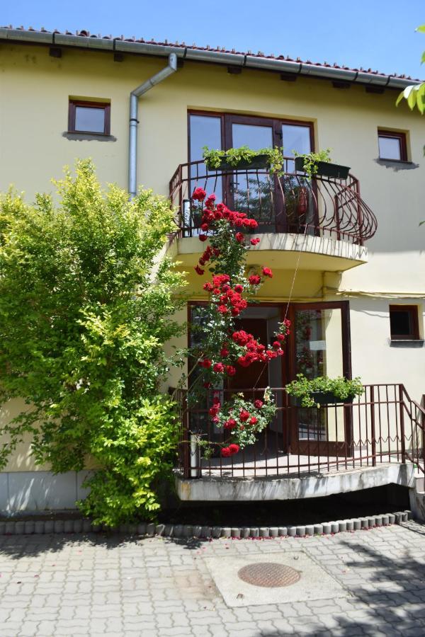 Pension Greenhouse Sibiu Exterior photo