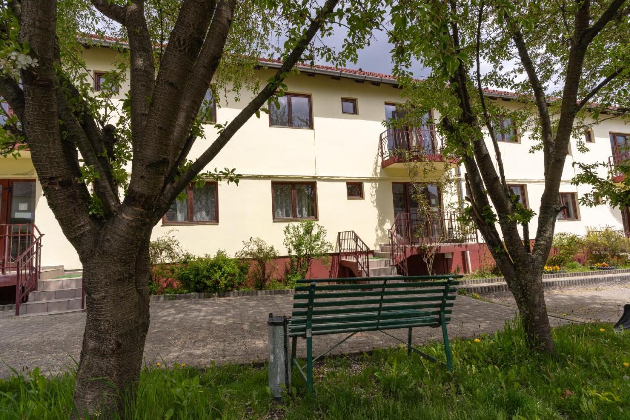 Pension Greenhouse Sibiu Exterior photo