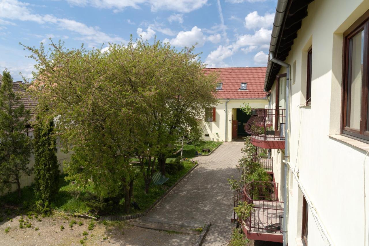 Pension Greenhouse Sibiu Exterior photo