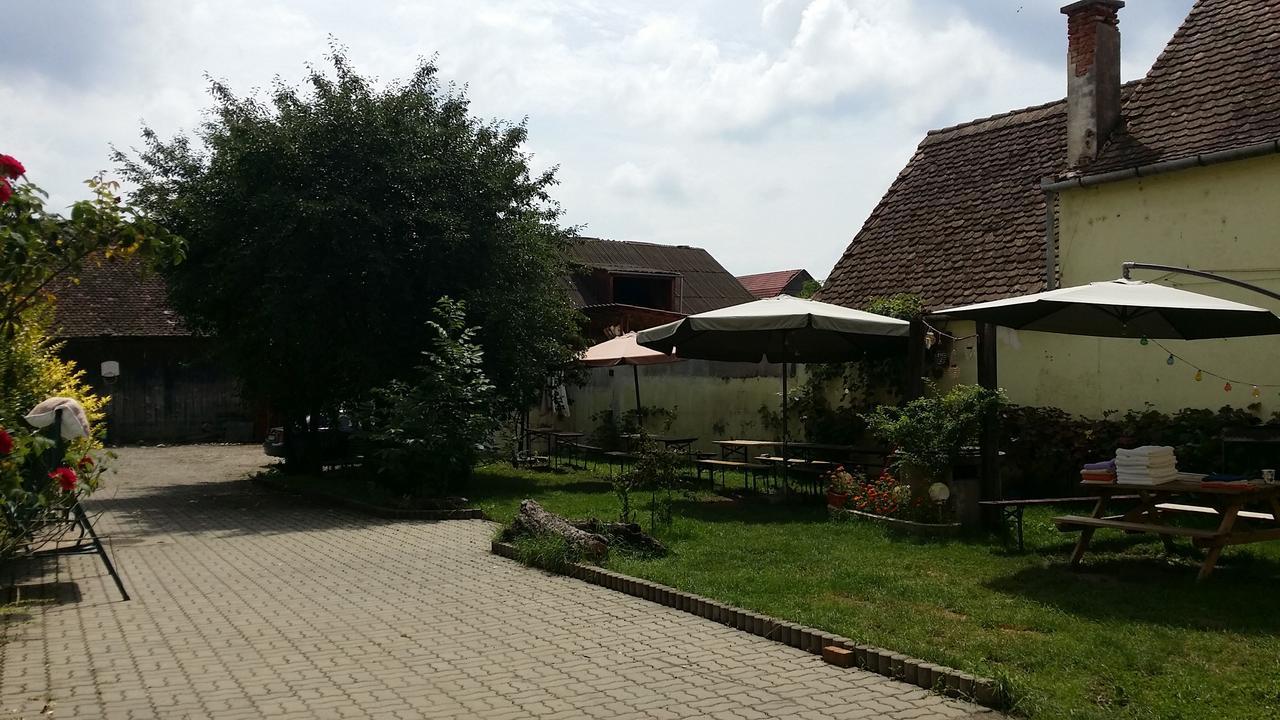 Pension Greenhouse Sibiu Exterior photo