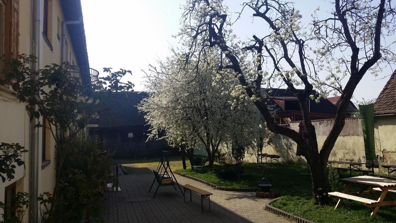 Pension Greenhouse Sibiu Exterior photo